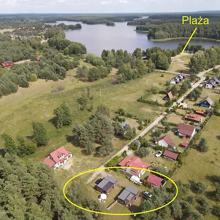 Kwiat Jabłonki Wikno