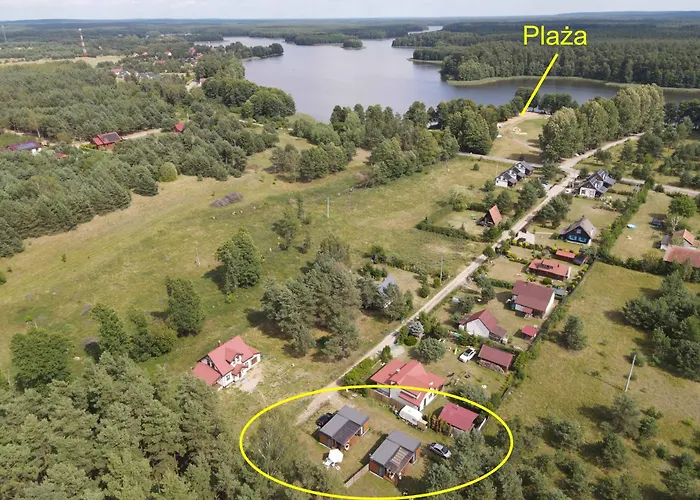 Kwiat Jablonki Wikno